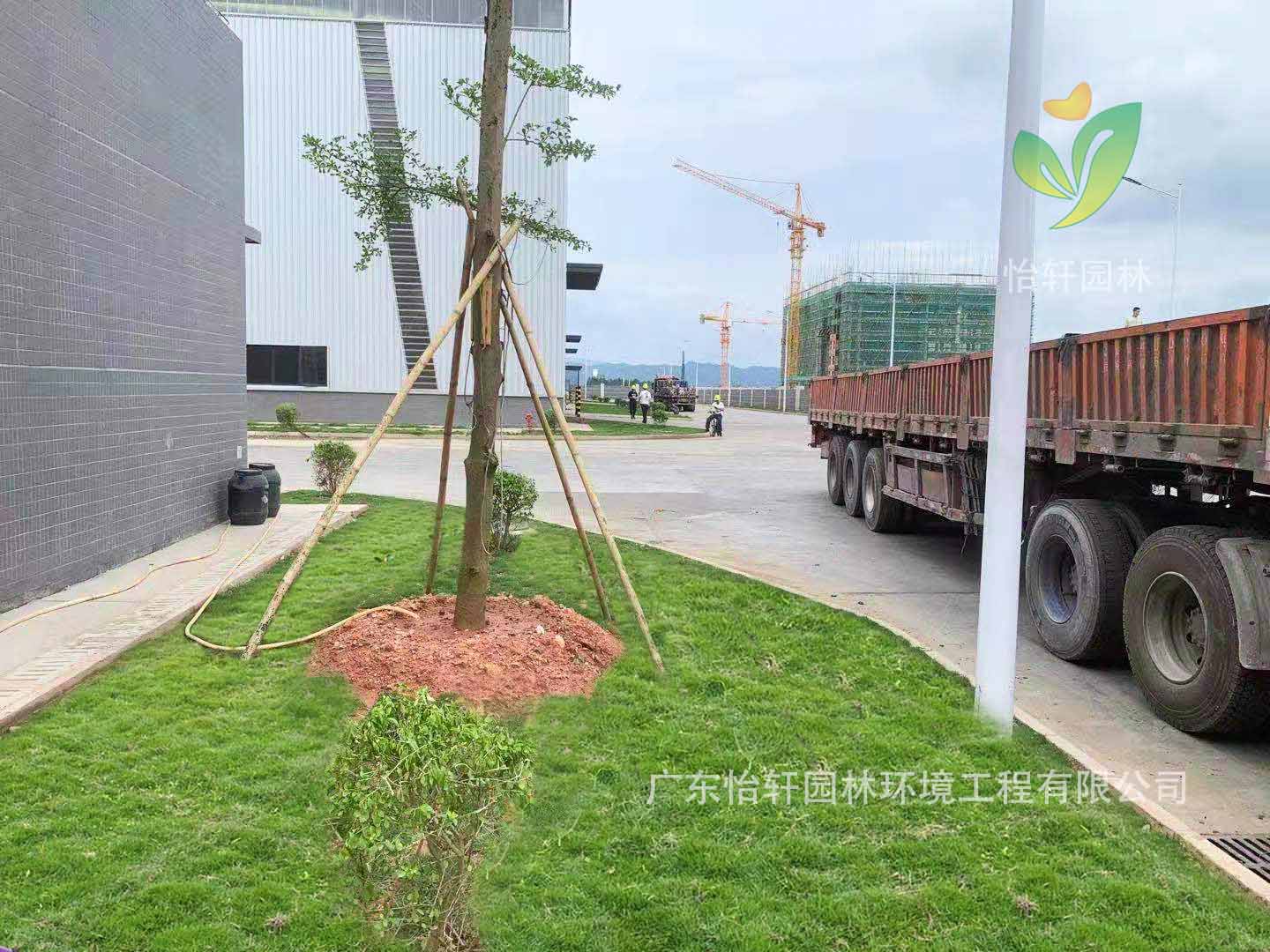 綠化工程 綠化工程